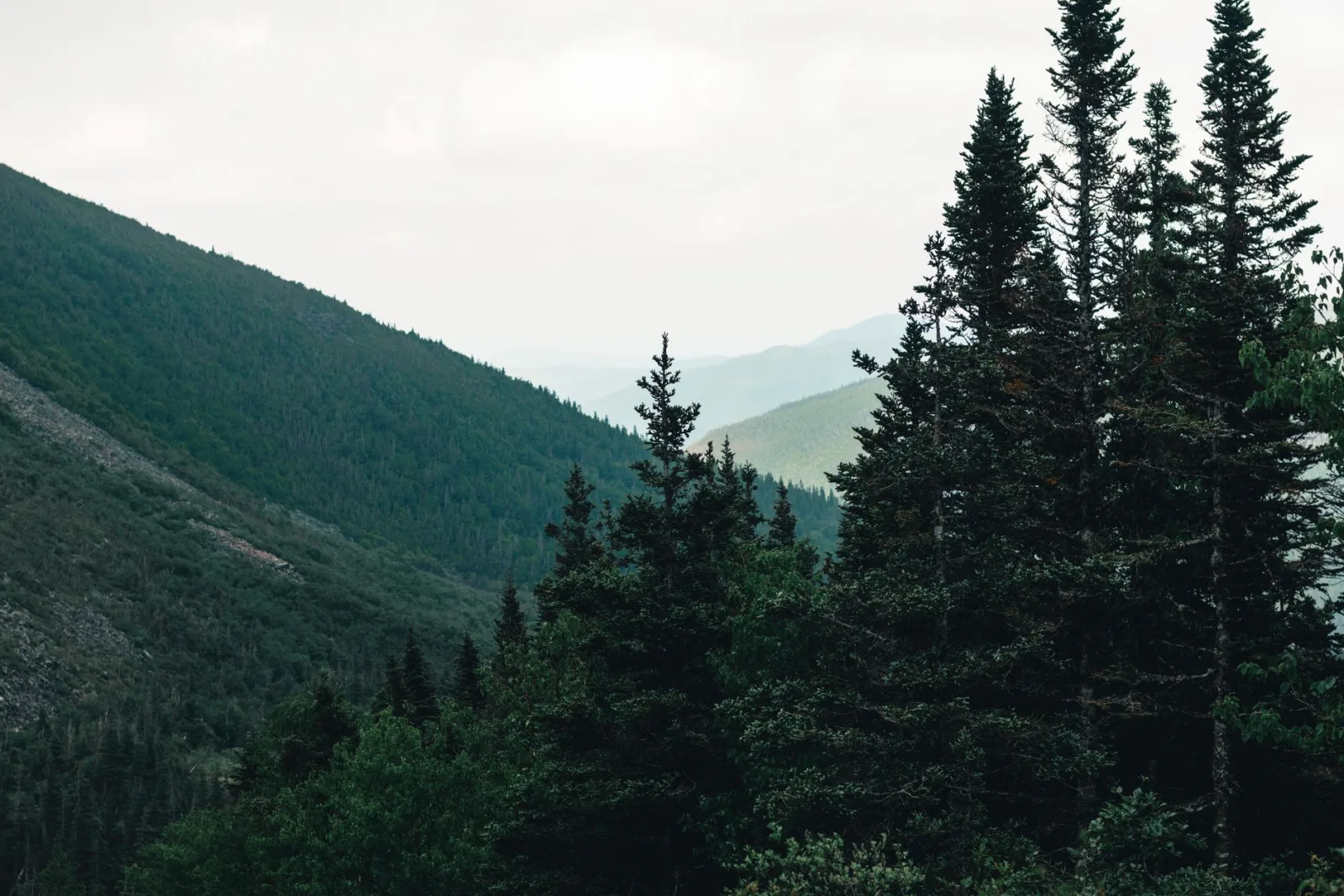 Montérégie
